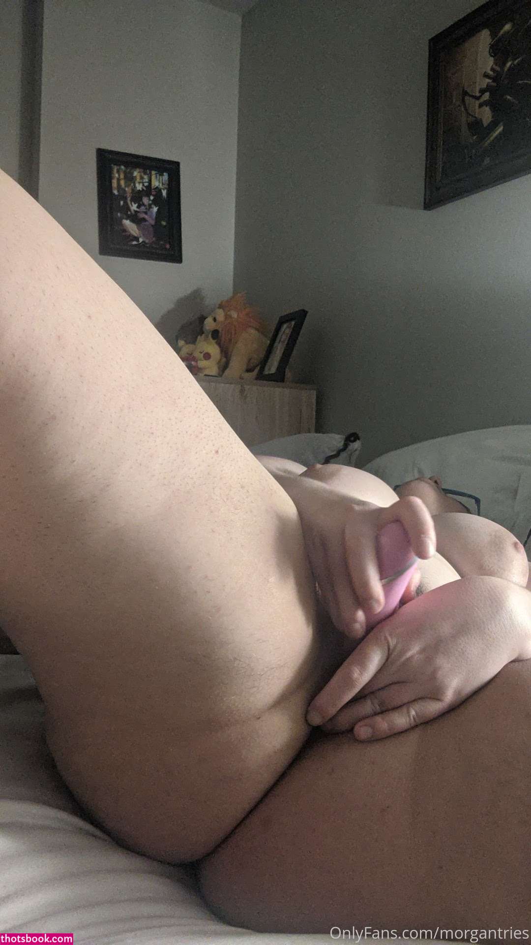 Morgantries Photo #44