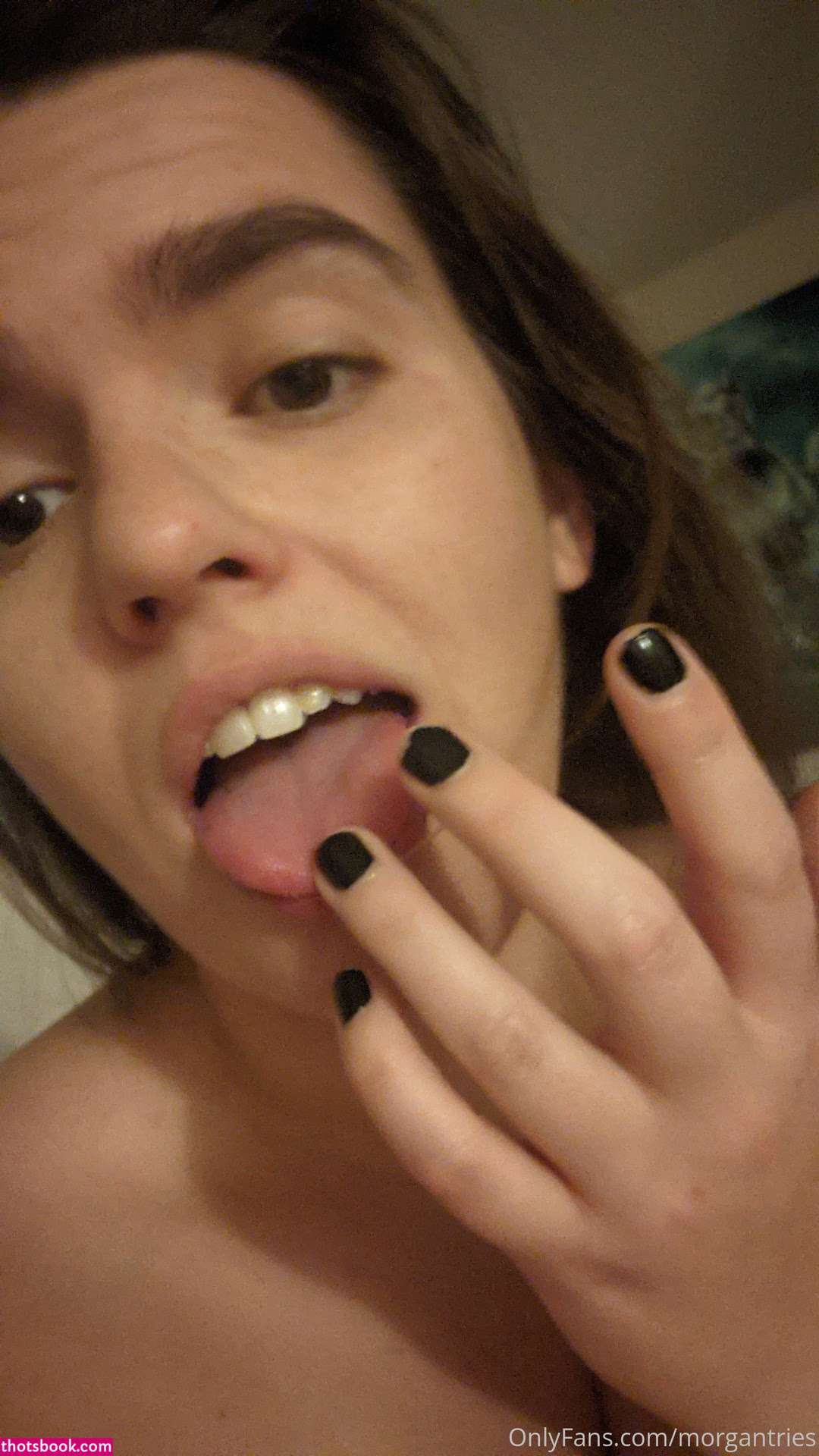 Morgantries Photo #122