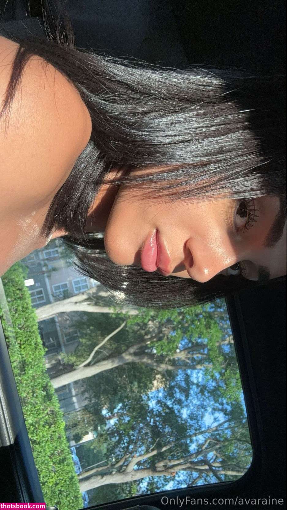avaraine Photo #10