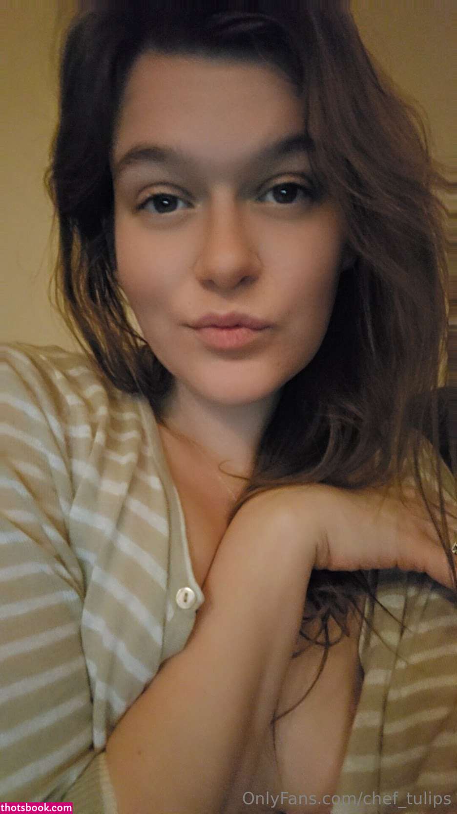 Chef Tulips Photo #20