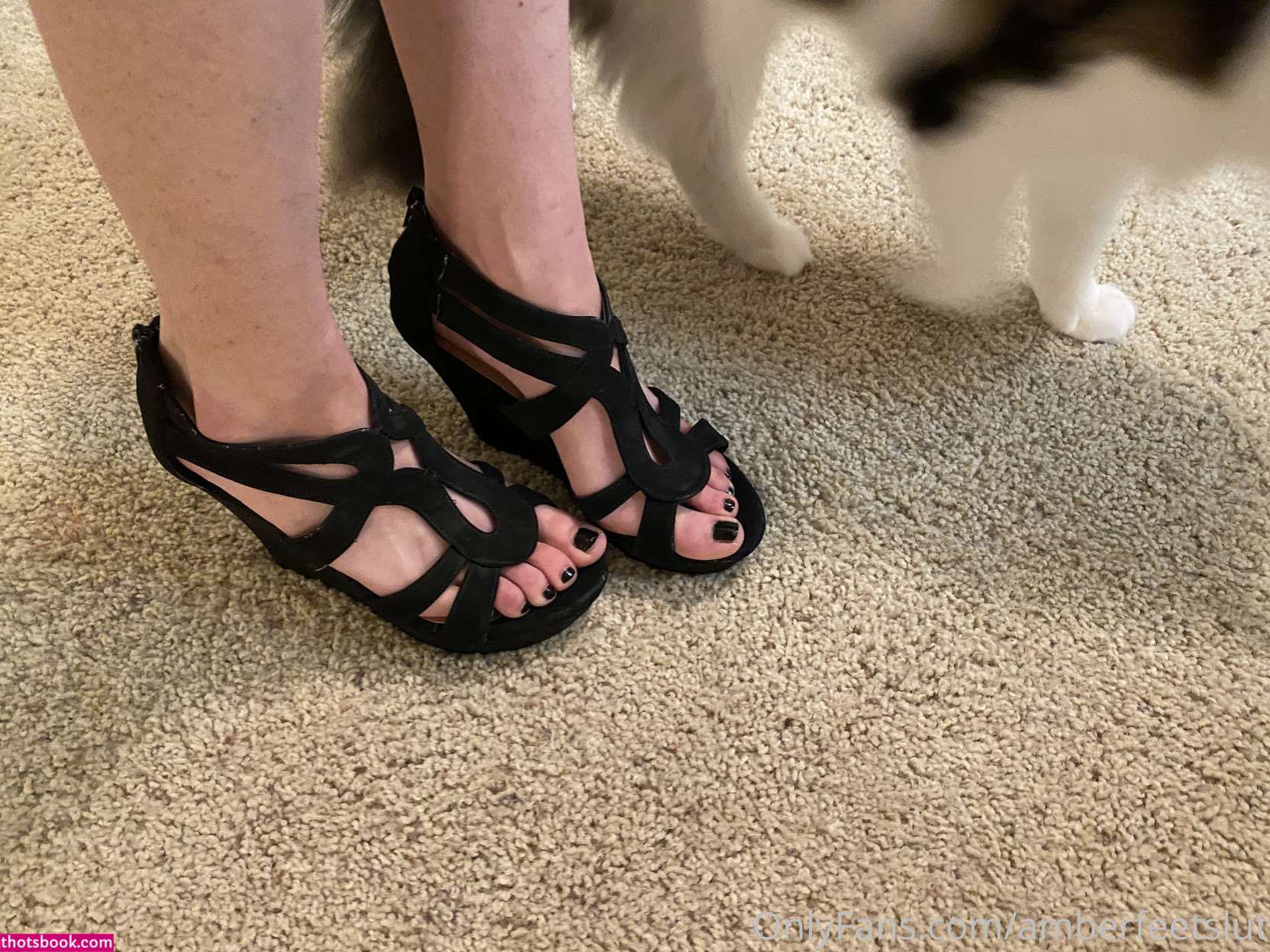 Sara Babyxxx Photo #15