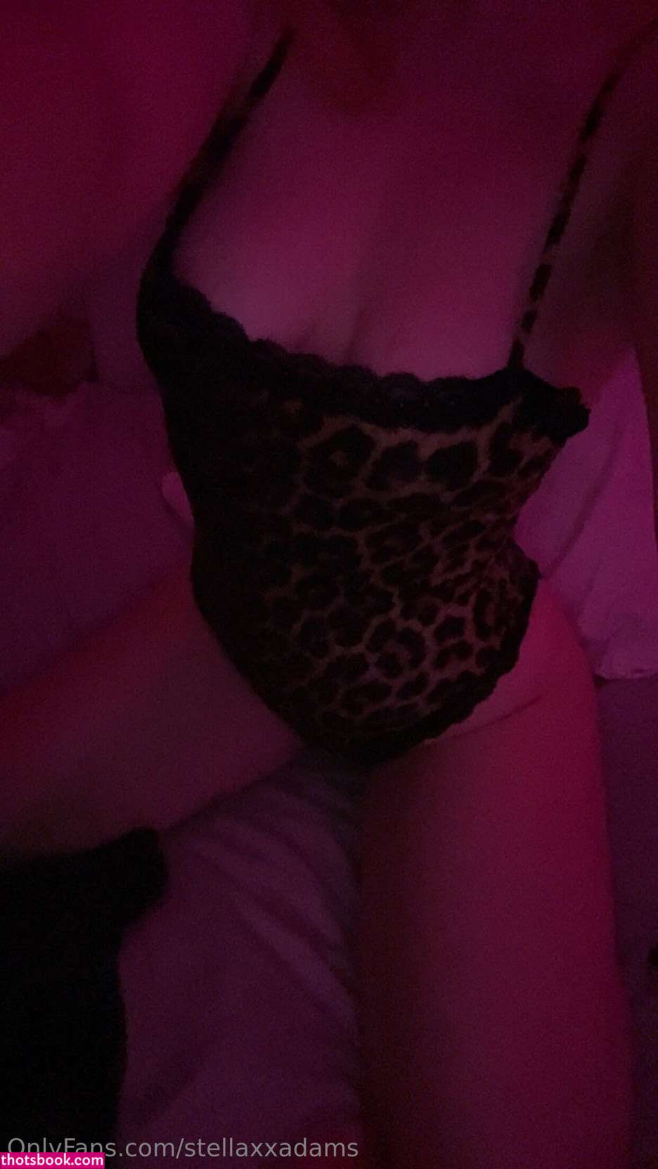 stellaxxadams Photo #22