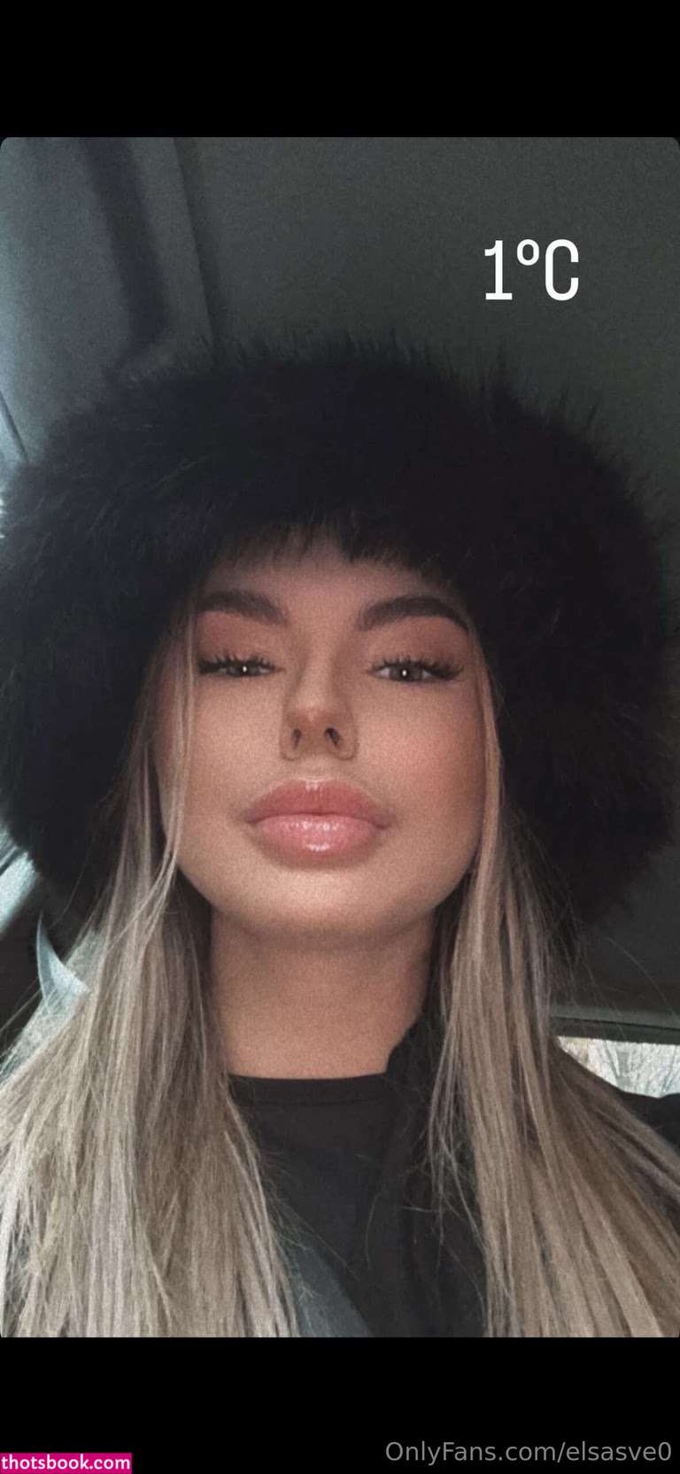 elsasve0 Photo #16