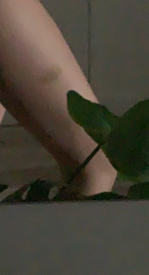 bunnys0phy Photo #16