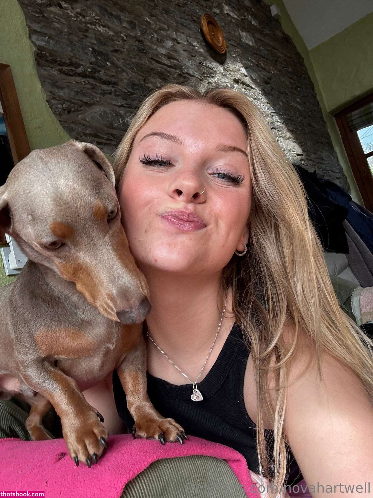 novahartwell Photo #4