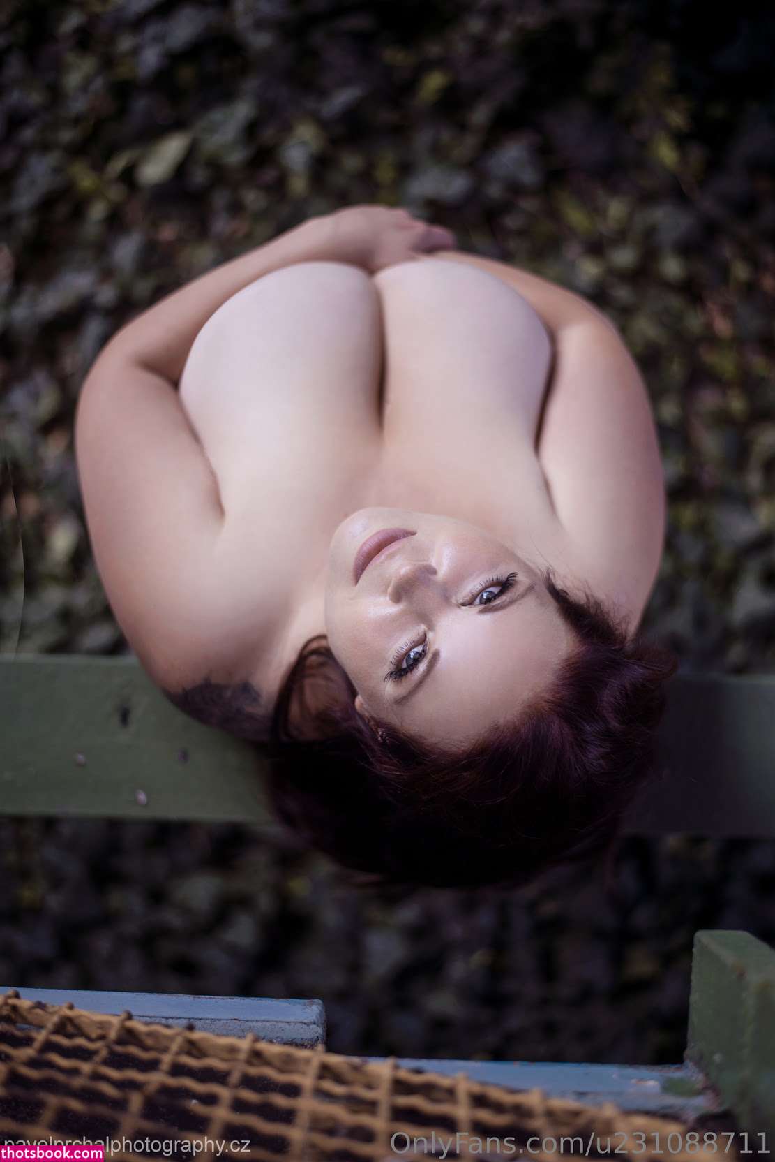 Czech Venus Photo #21