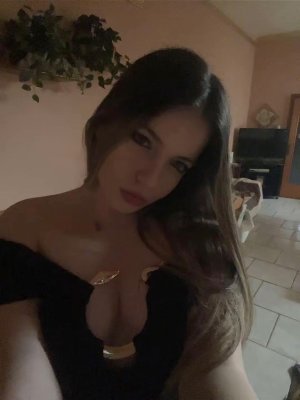 introversluna Photo #14