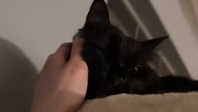 babieemi0x0 Video #16