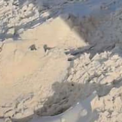 Pattaraporn Rungsuksud