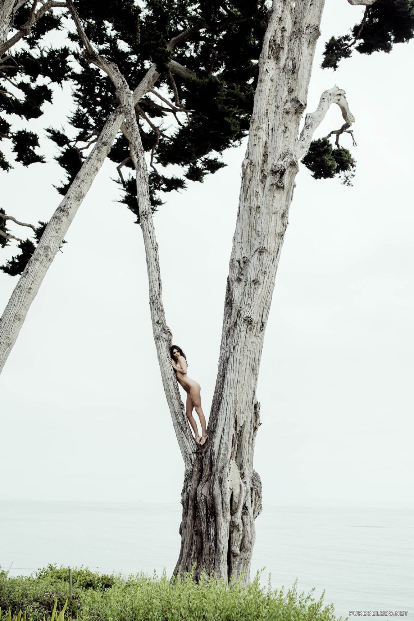 Kendall Jenner Photo #4