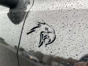 Brooke Michelle Photo #20