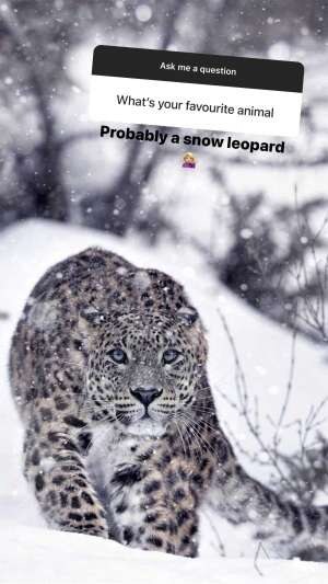 Brooke Michelle Photo #86