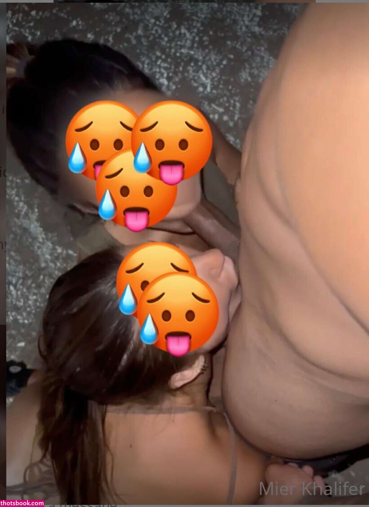 Persian Smoochy Photo #8