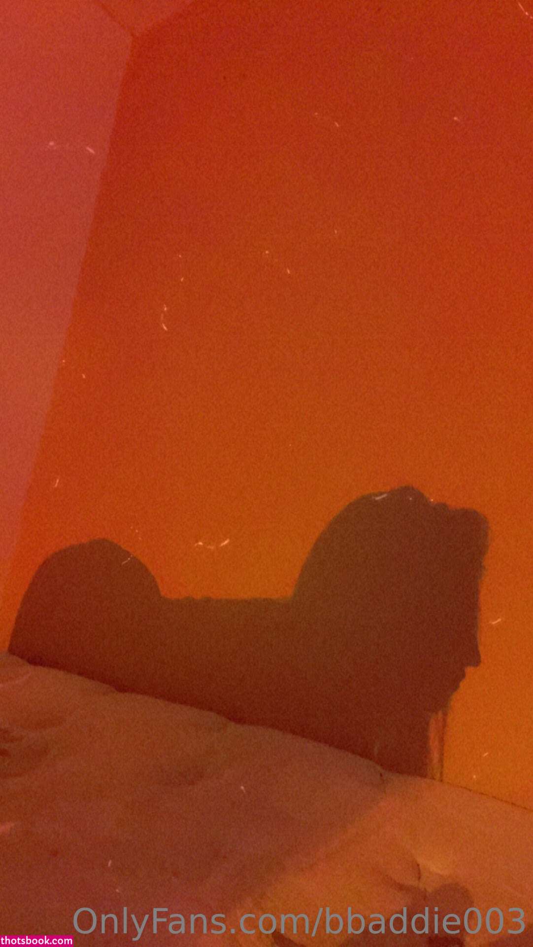 Bbaddie003 Photo #24