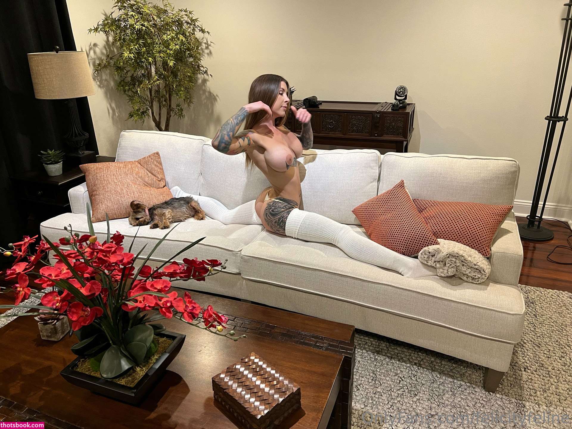 Felicity Feline Photo #73