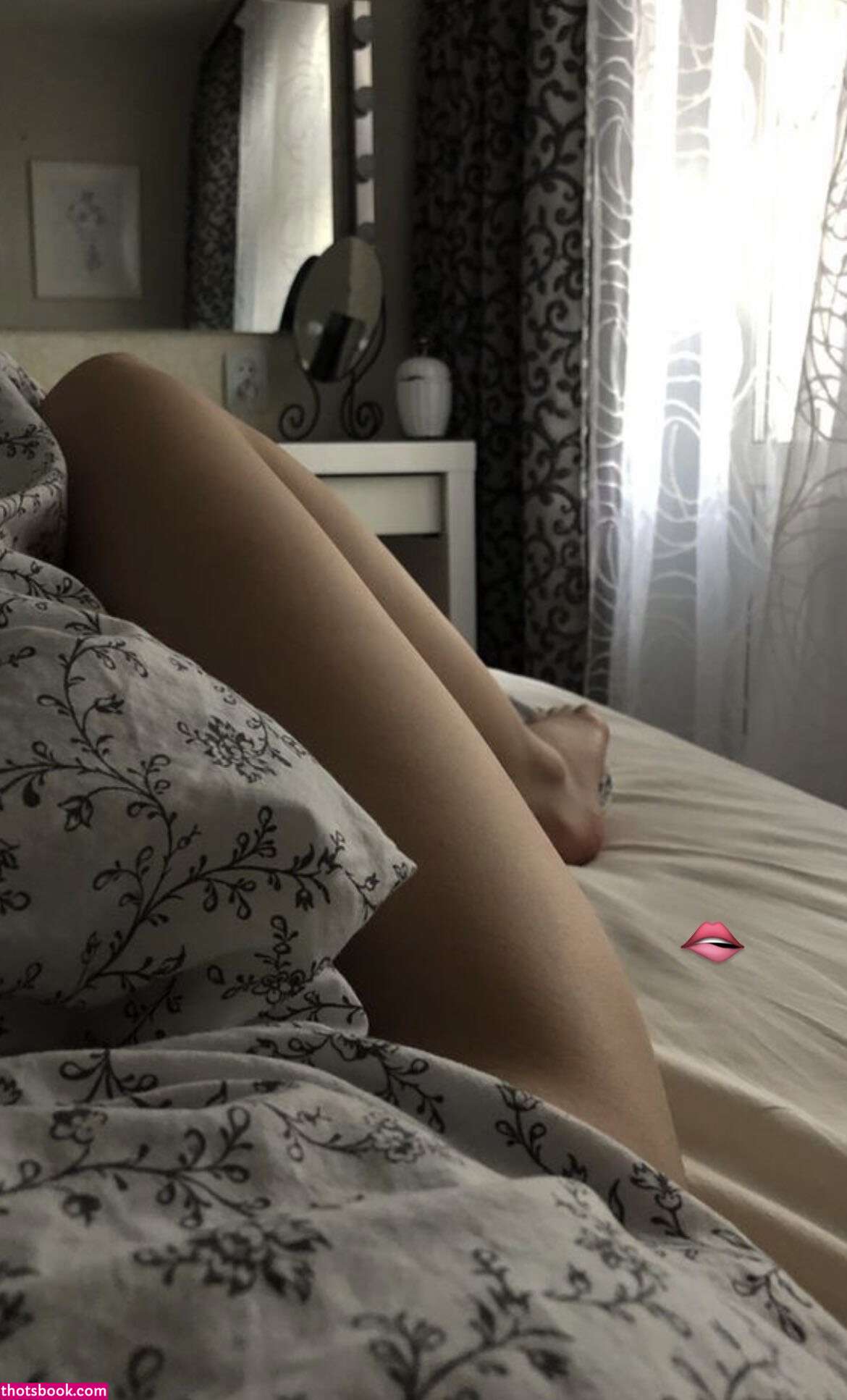 Meowdilyara Photo #6