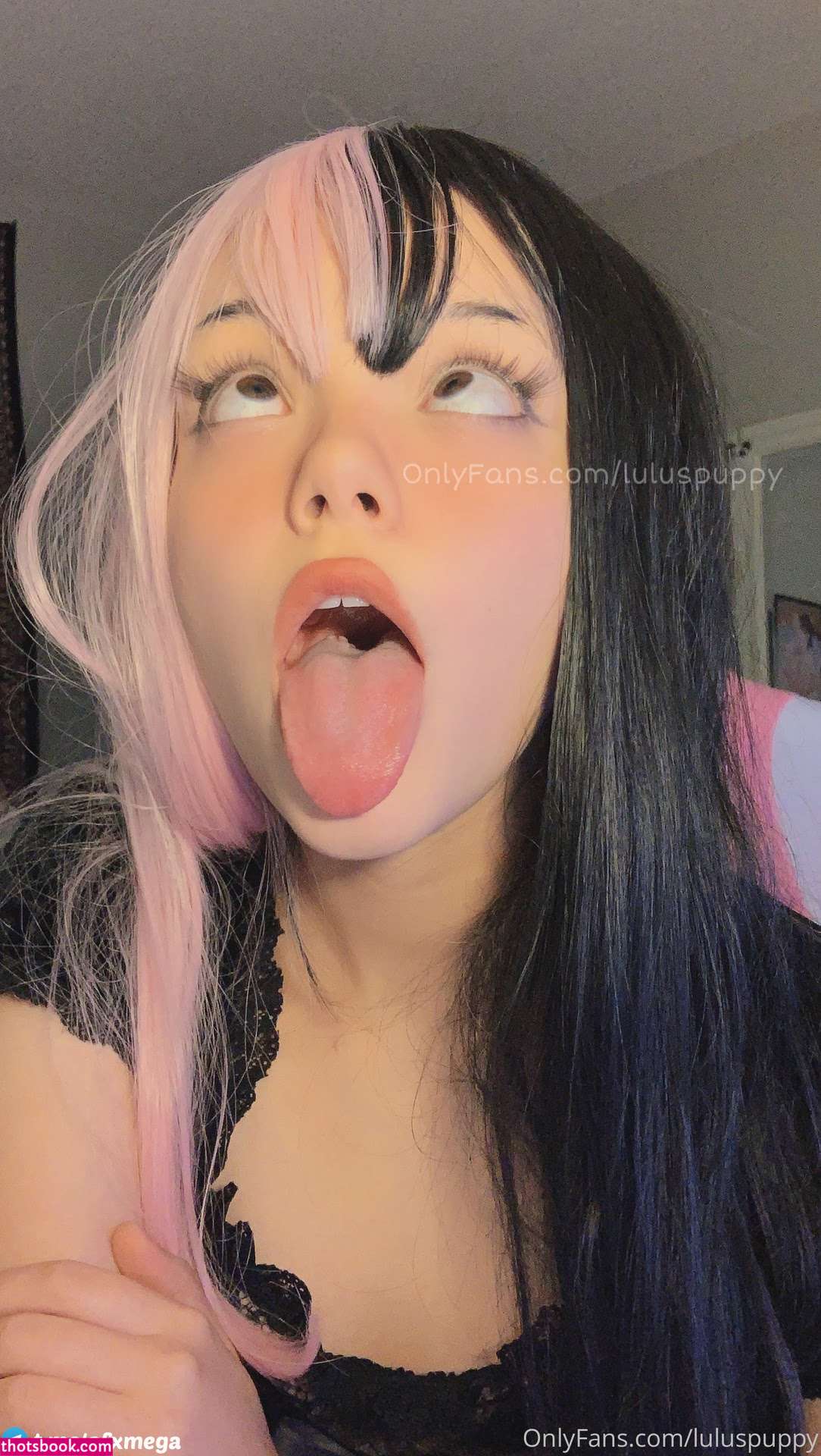 luluspuppy Photo #82