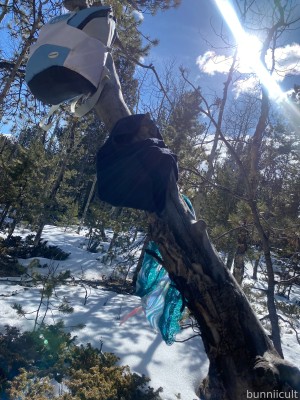 bunniicult Photo #203