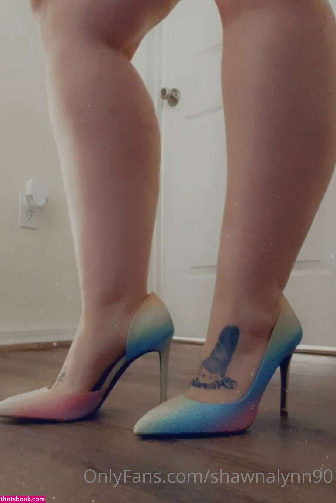 Shawna Lynn Photo #3