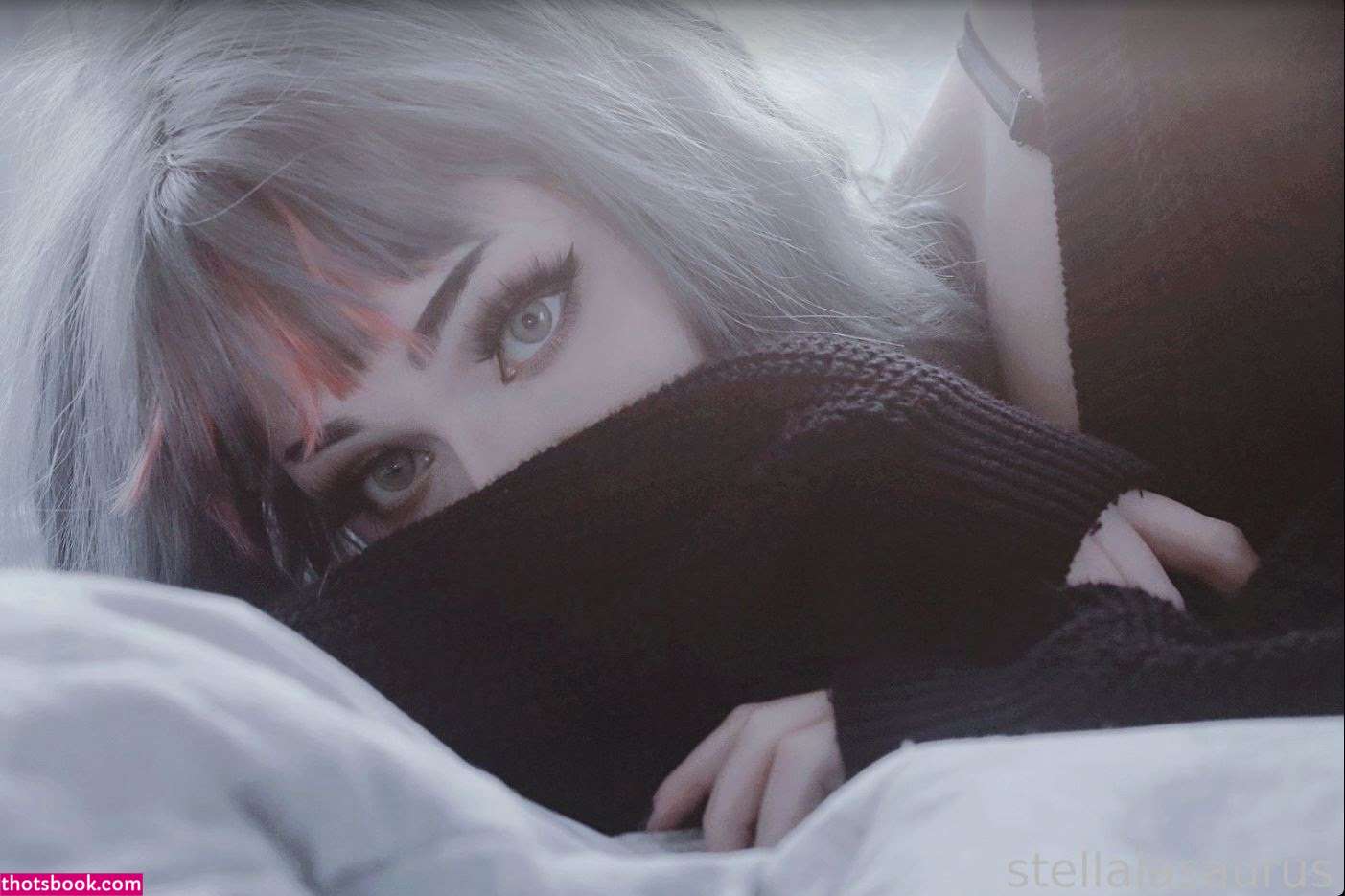 Stellalasaurus Photo #19