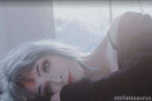 Stellalasaurus Photo #26