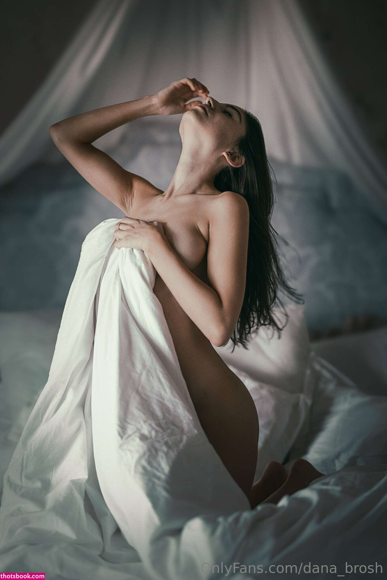 Dana Brosh Photo #19