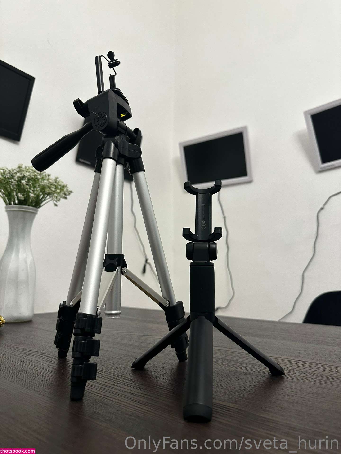 Sveta Hurin Photo #19