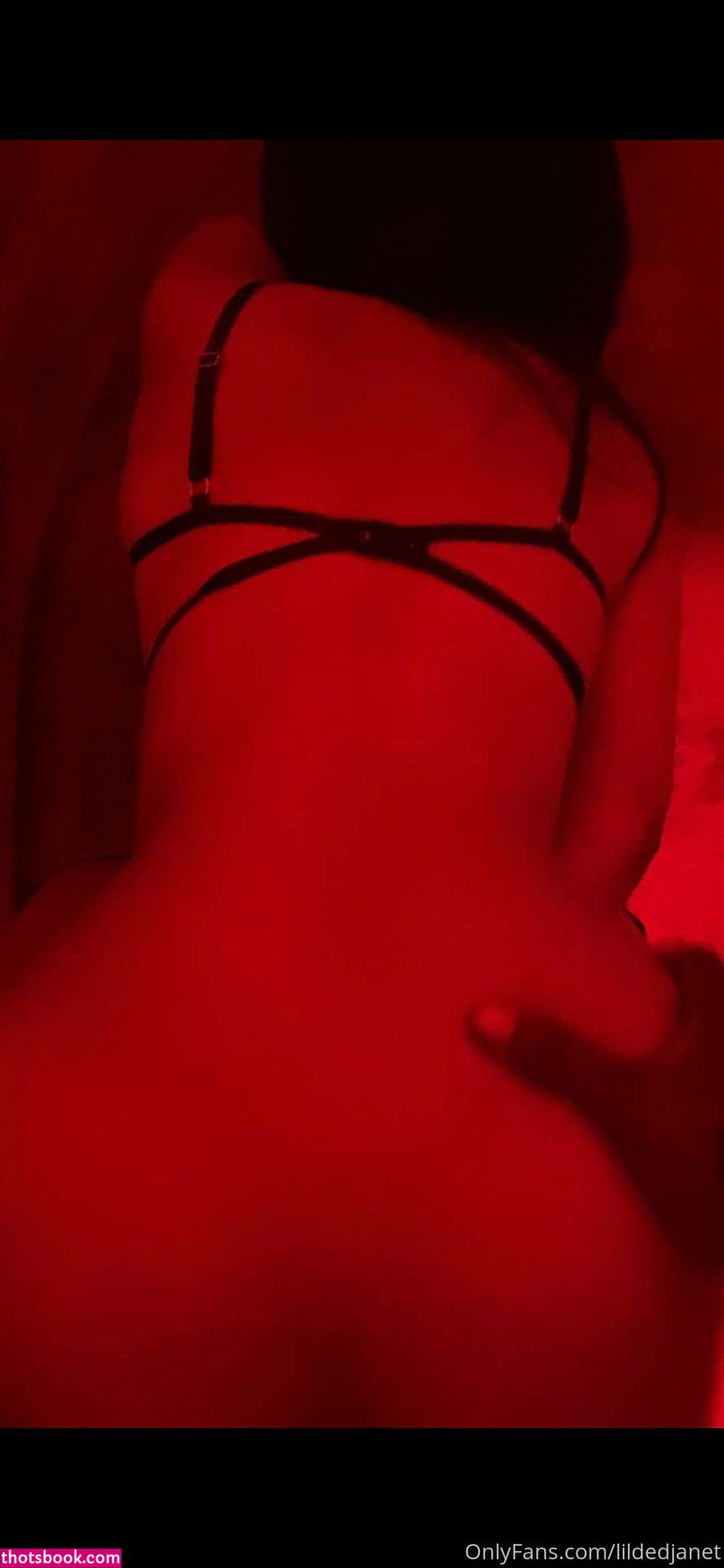 lildedjanet Photo #62