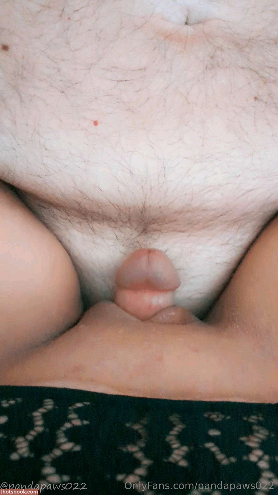 Pandapaws022 Photo #63