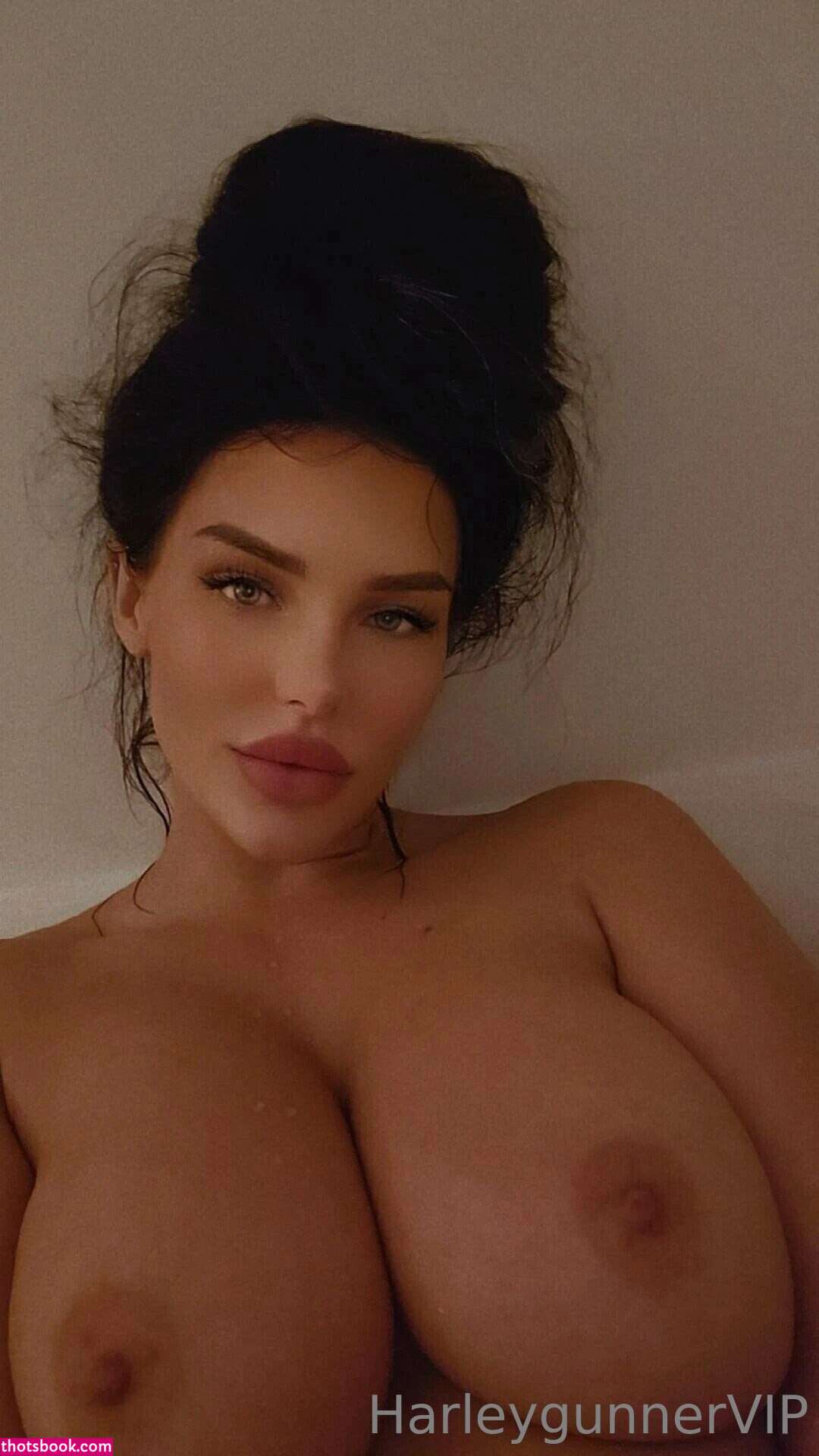 harleygunner Photo #23