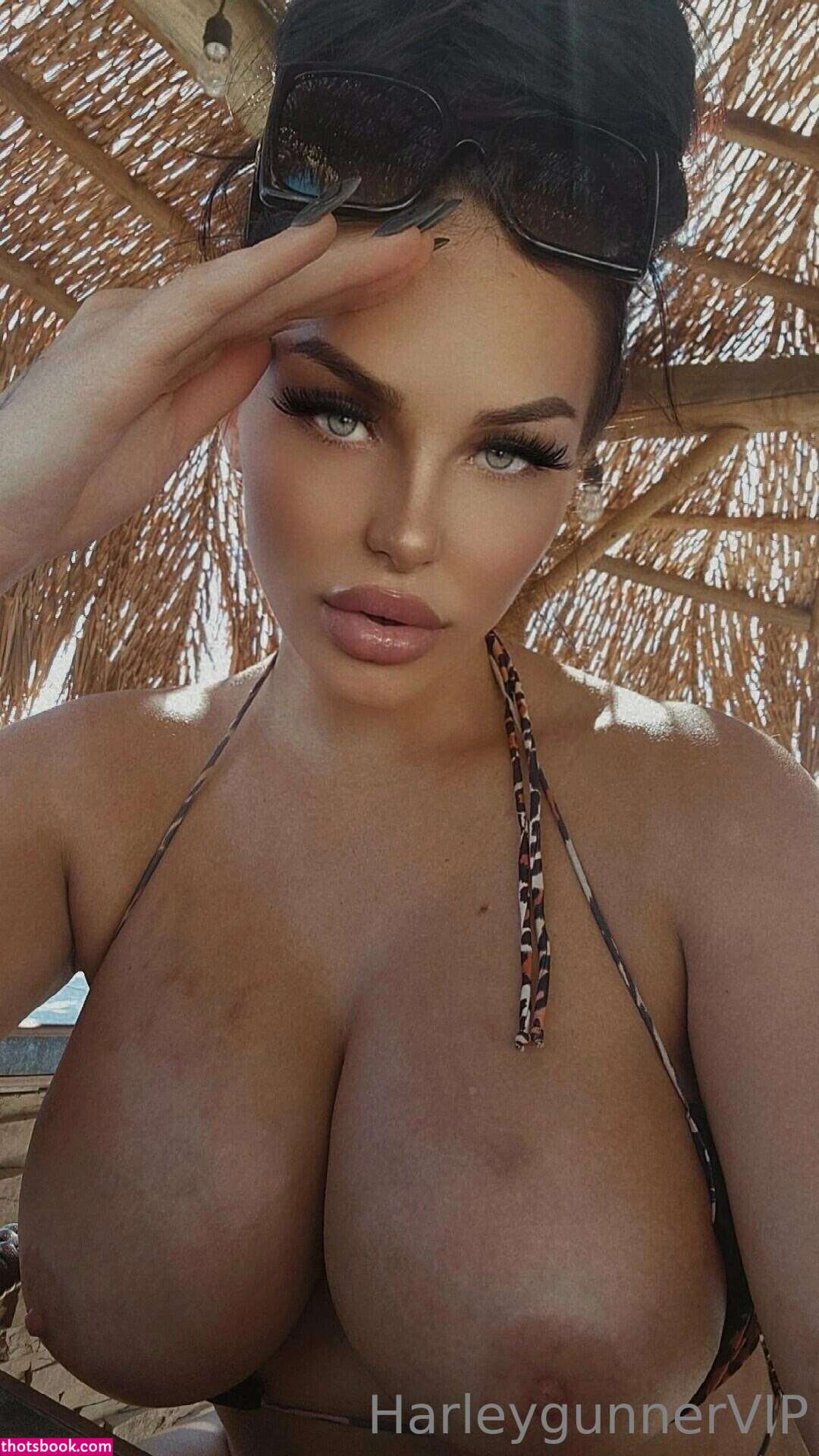 harleygunner Photo #30