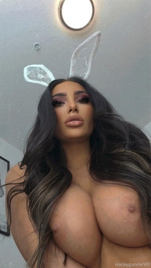 harleygunner Photo #29