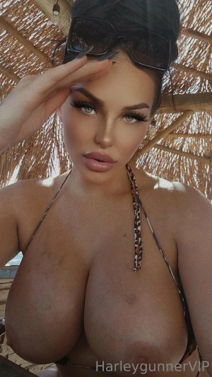 harleygunner Photo #30