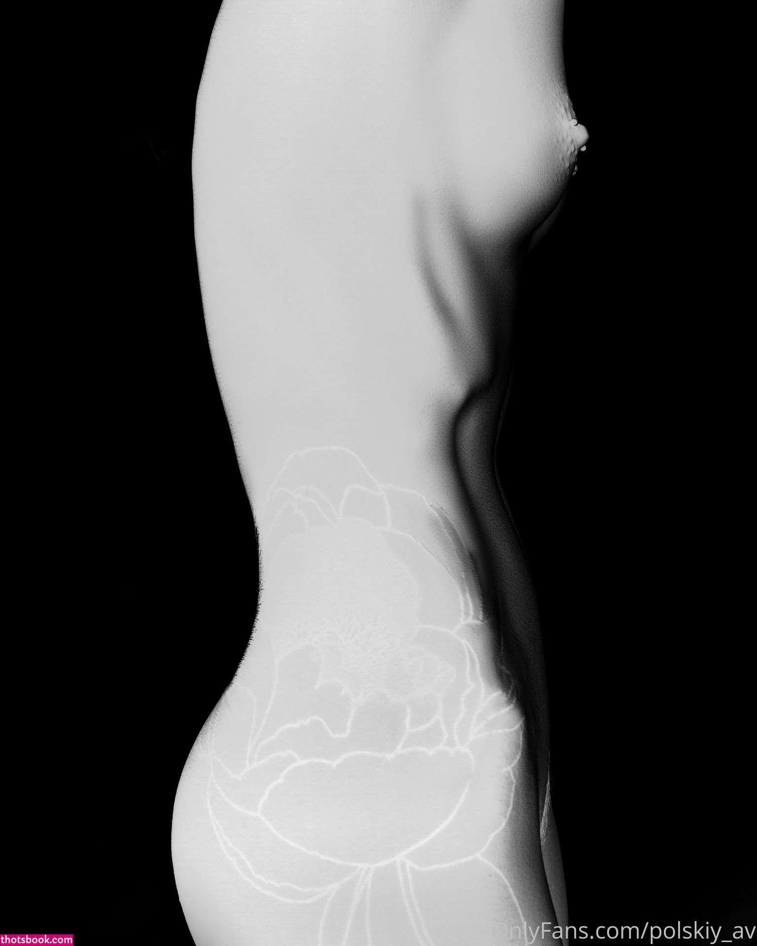 Vayikslop Photo #134