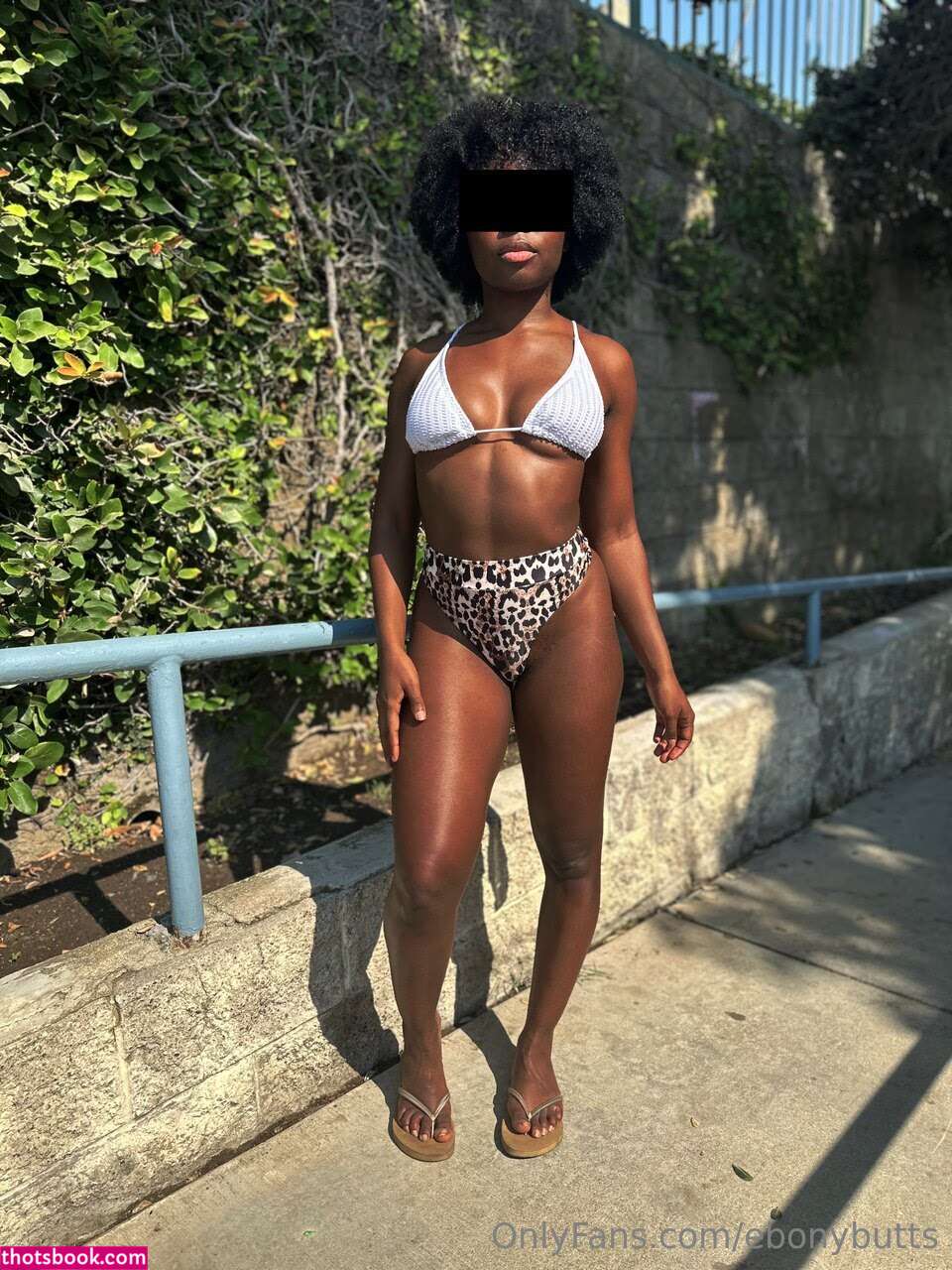 Pastatoots Photo #40