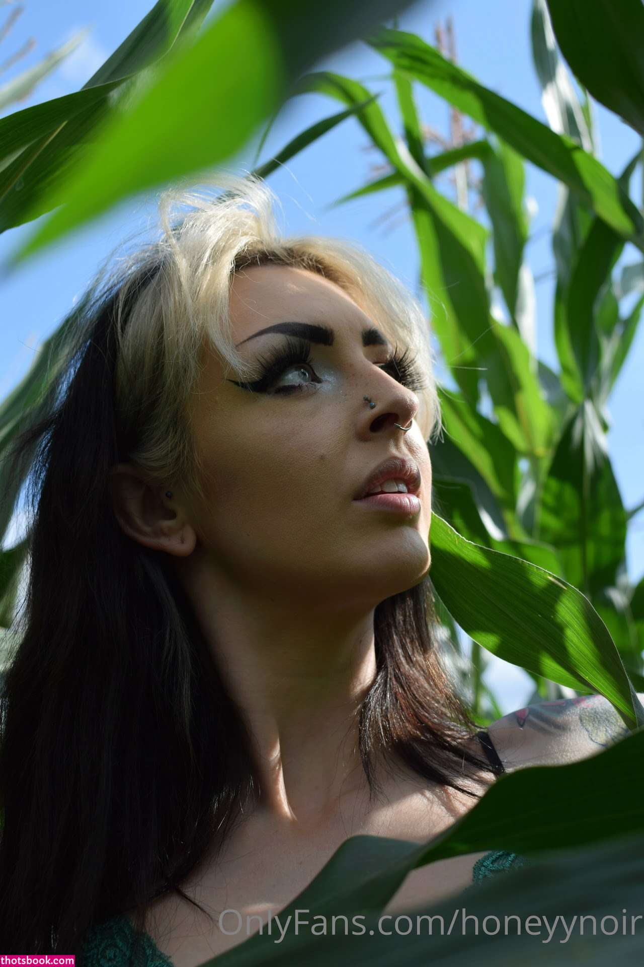 Honeyy Noir Photo #123