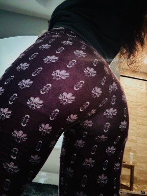 Kiwi Sunset Photo #701