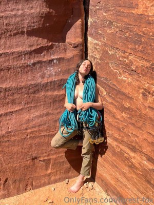 Forest Fox Photo #10