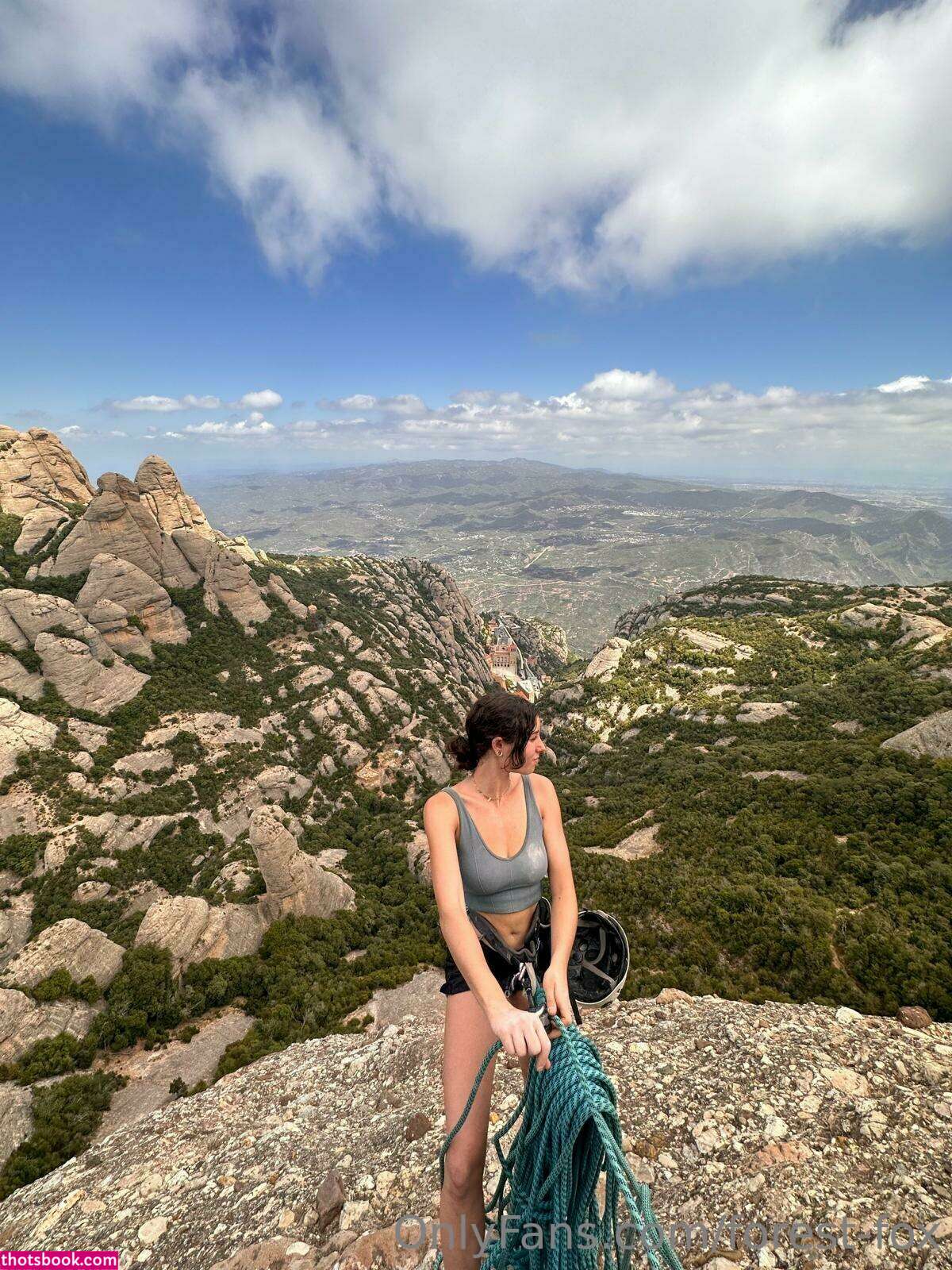 Forest Fox Photo #76