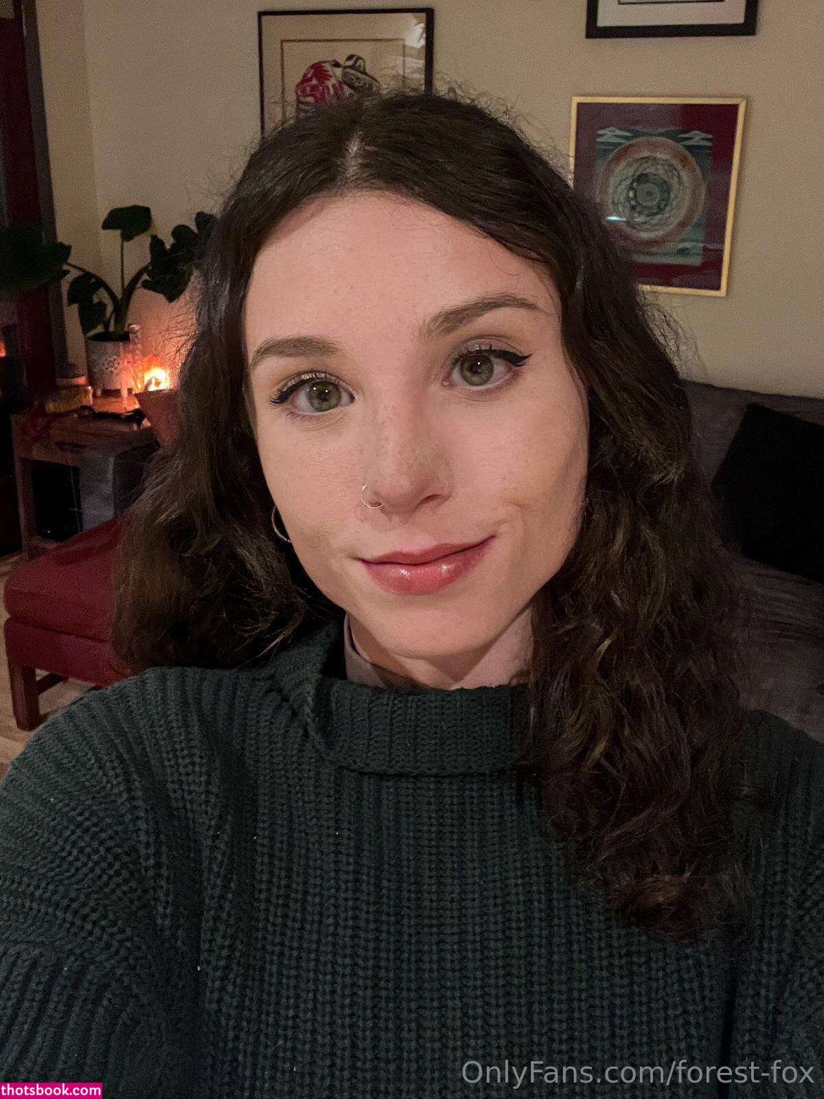 Forest Fox Photo #80