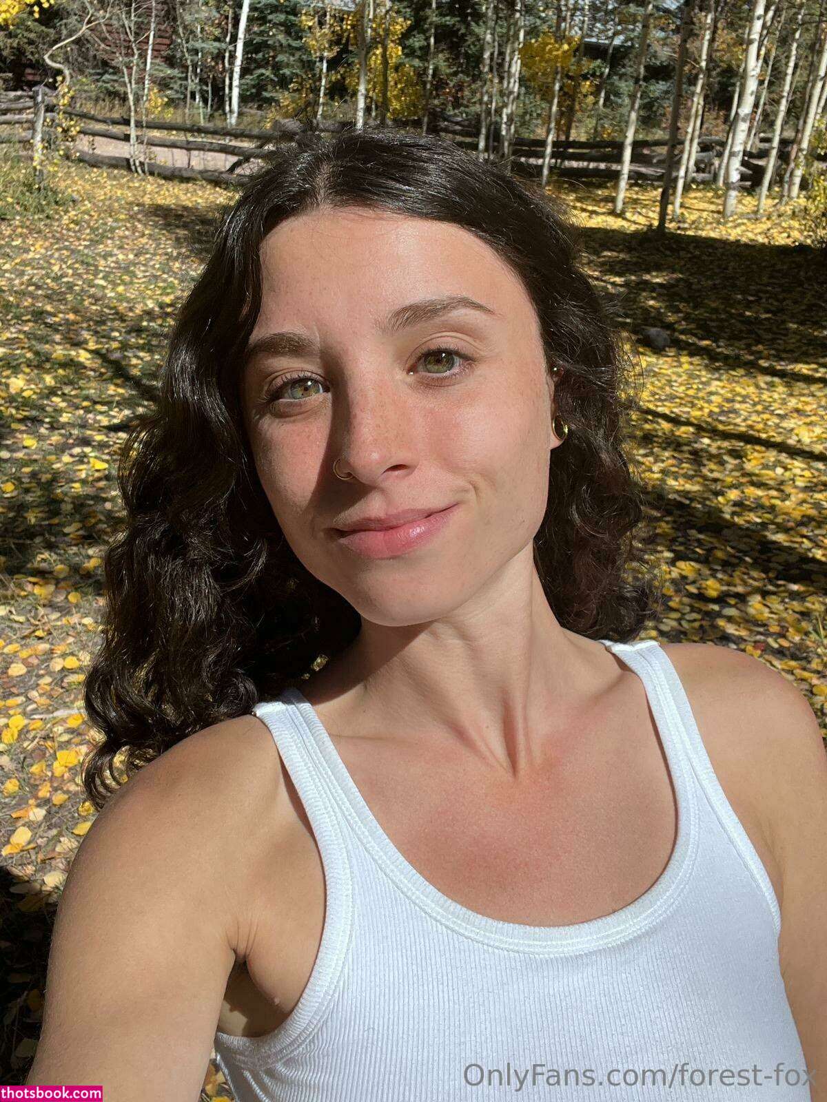 Forest Fox Photo #85