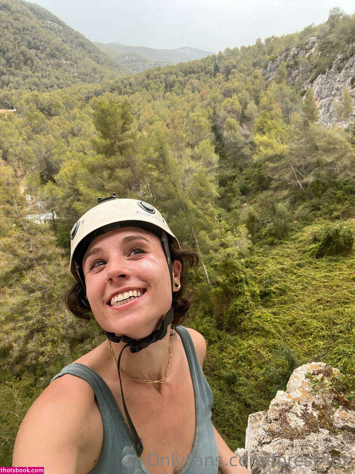 Forest Fox Photo #86