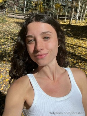 Forest Fox Photo #85