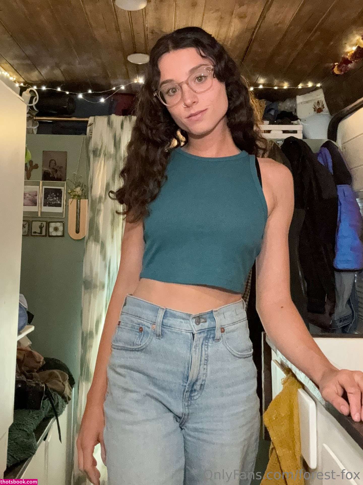 Forest Fox Photo #89