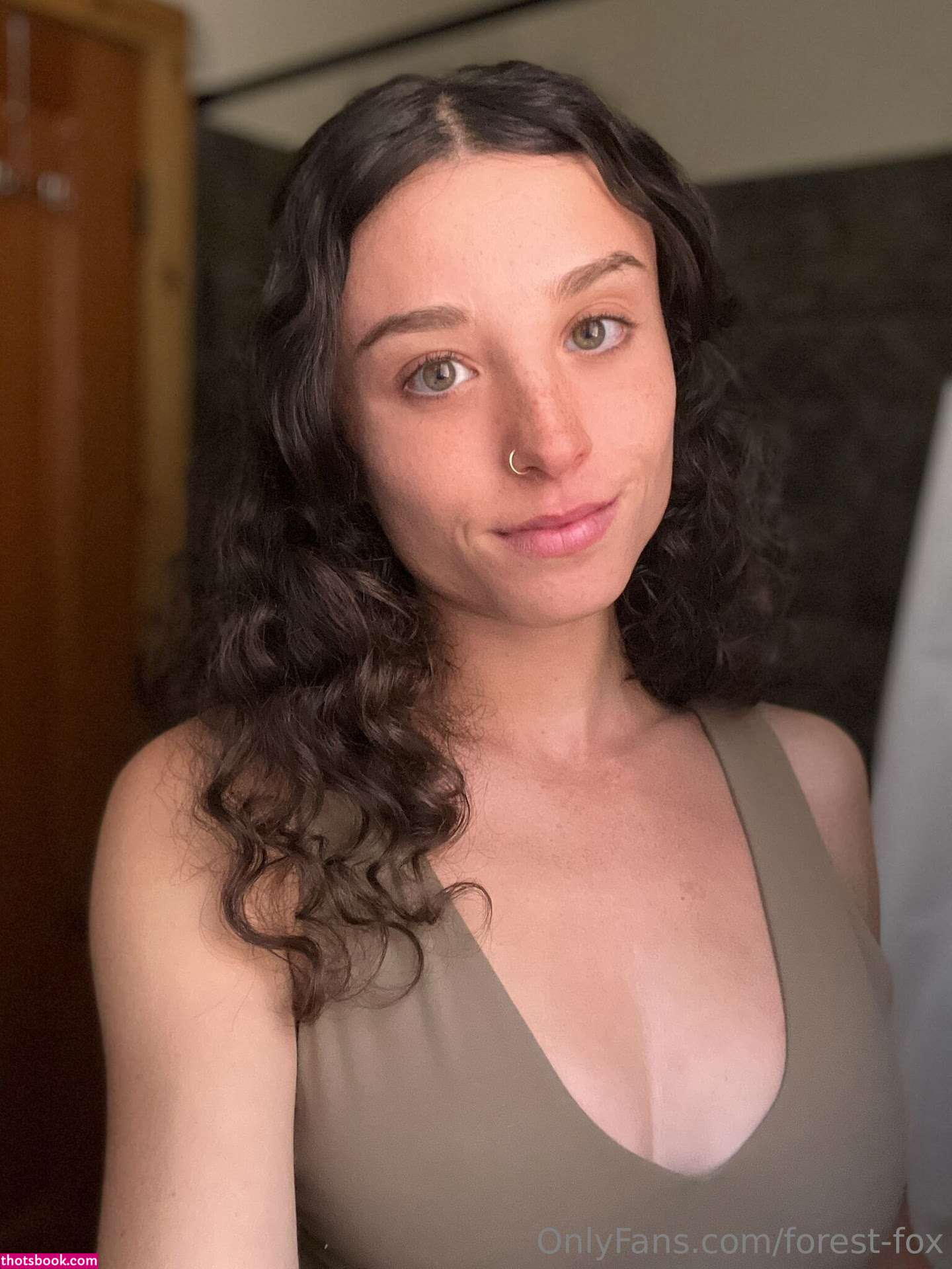 Forest Fox Photo #97