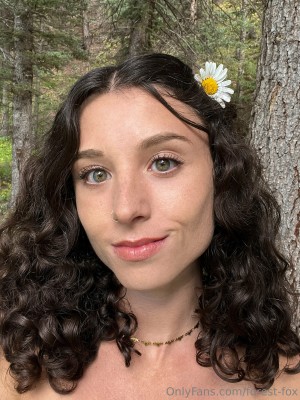 Forest Fox Photo #91