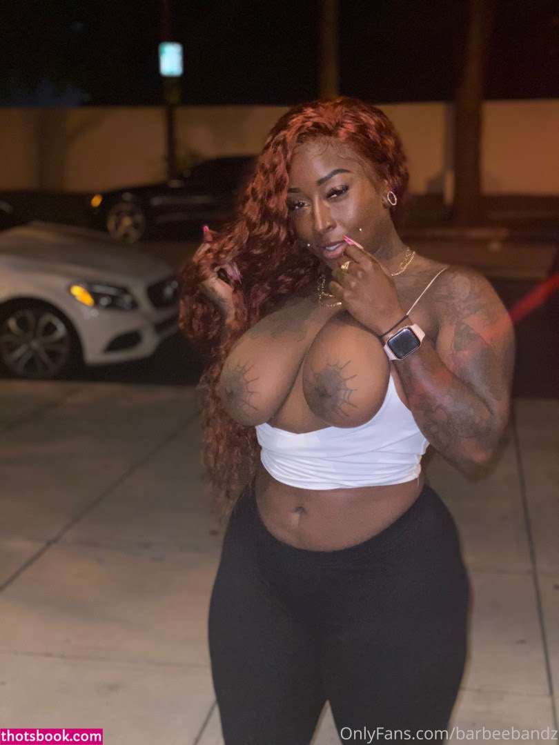 Barbee Bandz Photo #33