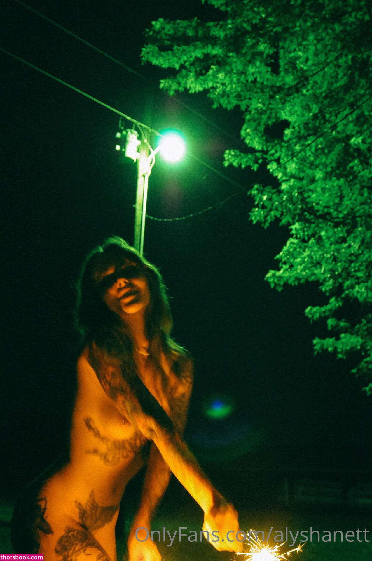 Alysha Nett Photo #300