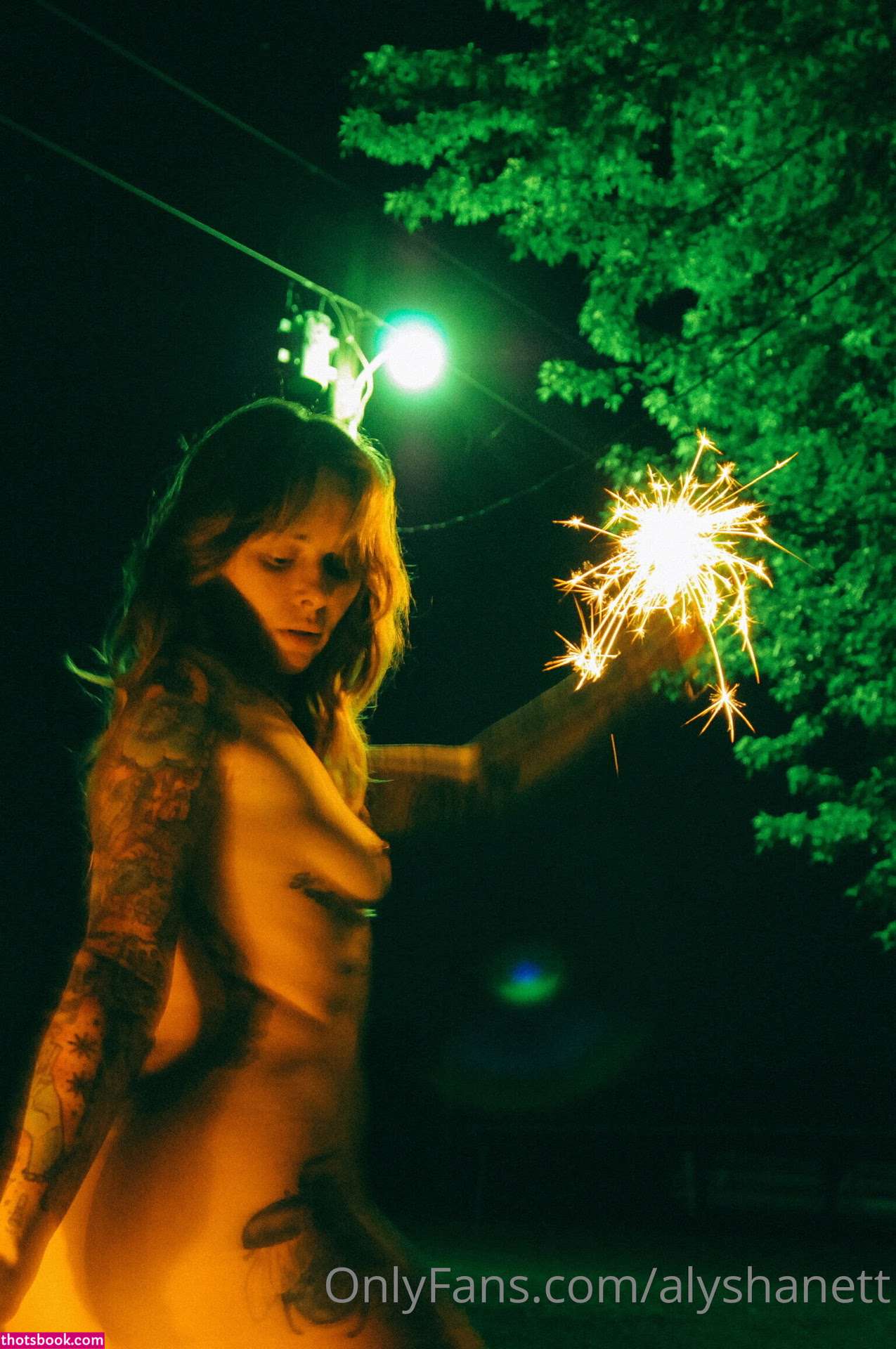 Alysha Nett Photo #302