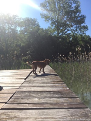 Lou Charmelle Post #9